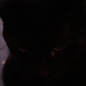 Meet your Posher, Collin